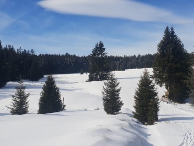 Šumava pod sněhem