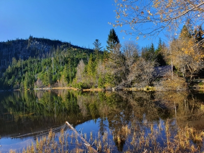 Lake Plešné